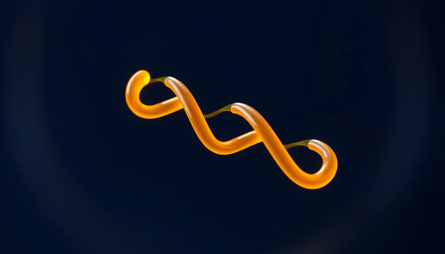 What Is a Peptide? A Researcher's Primer on Structure and Signaling