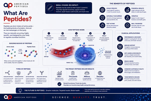 Infographic: What are peptides — short amino-acid chains, how they work, and applications