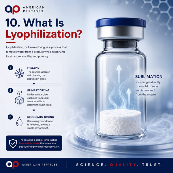 Infographic: What is lyophilization — freezing, primary and secondary drying, sublimation