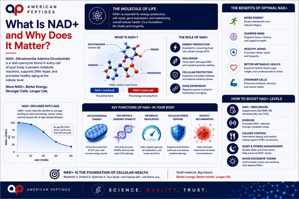 Infographic: What is NAD+ — the coenzyme, its roles in energy and repair, and NAD biology