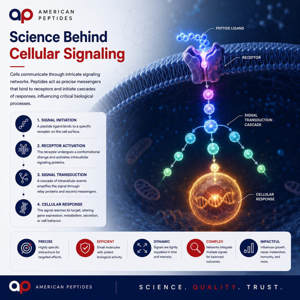 Infographic: the science behind cellular signaling — signal, receptor, transduction, response