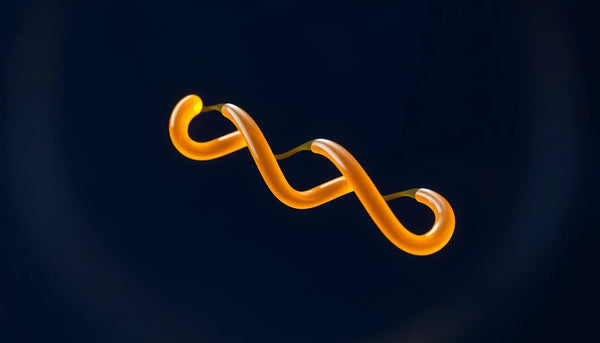 What Is a Peptide? A Researcher's Primer on Structure and Signaling