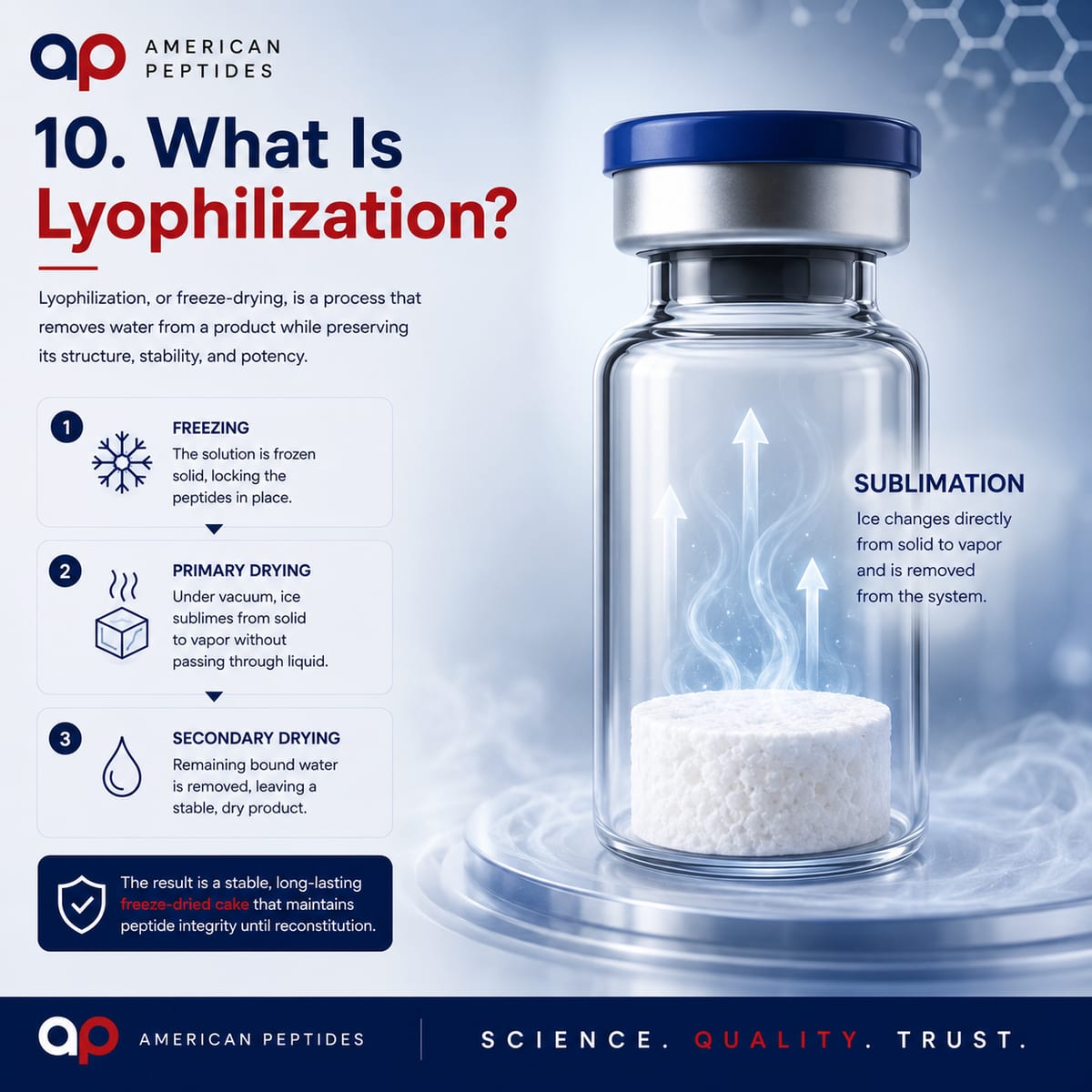 Infographic: What is lyophilization — freezing, primary and secondary drying, sublimation