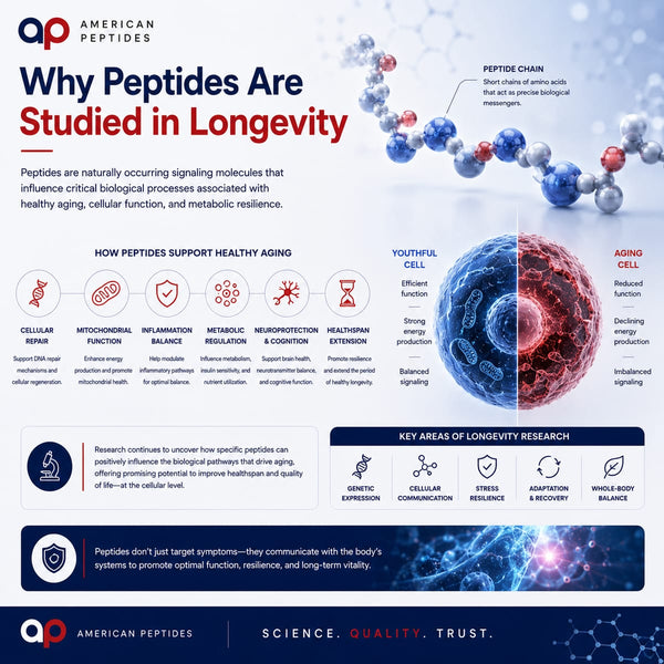 Infographic: why peptides are studied in longevity research — signaling and healthy aging